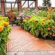 Gartengestaltung & Pflasterarbeiten