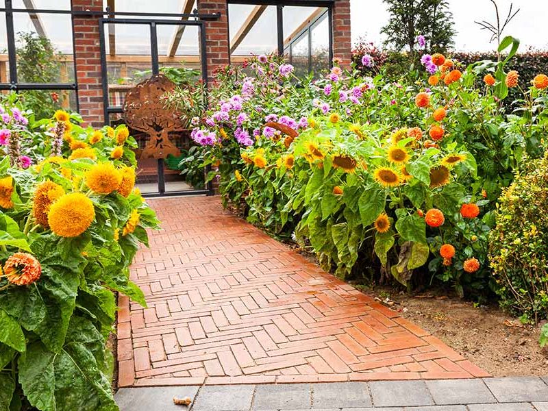 Gartengestaltung & Pflasterarbeiten